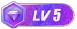 LV5 等级-LV5-闲鱼虚拟仓