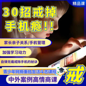 戒瘾 戒网瘾 戒手机瘾视频教程 亲子关系 学习动力在线课程-闲鱼虚拟仓