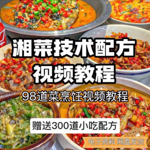 98道湘菜技术配方教程 商用湖南菜炒菜特色小吃-闲鱼虚拟仓
