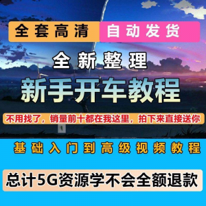 驾校 新手开车 视频教程 安全汽车驾驶技术技巧 小白学开车 新手课程素材-闲鱼虚拟仓