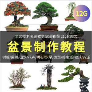 盆景制作教程 工艺教学果 树桩 山水 微型 造型全套-闲鱼虚拟仓
