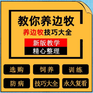 边牧训练方法教程 边境牧羊犬 驯养技术 饲养 喂养 选购 训犬 技巧大全套-闲鱼虚拟仓
