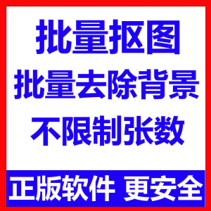 批量抠图工具 全自动去除图片背景软件 本地运行 不限制张数-闲鱼虚拟仓