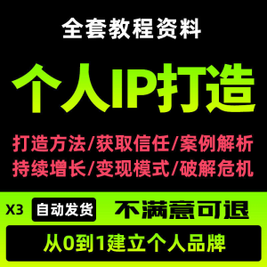 个人IP打造教程 如何快速打造个人IP社交品牌定位训练营资料大全新-闲鱼虚拟仓