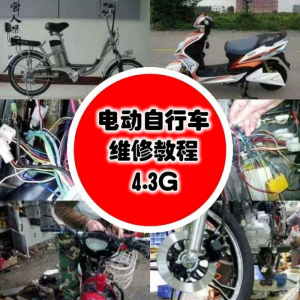 电动车维修教程 电动自行车维修技术电瓶修复技巧视频教程教学-闲鱼虚拟仓