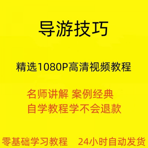 导游技巧教程 新手自学零基础入门精通教学课程全集-闲鱼虚拟仓