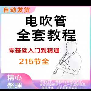 乐器电吹管教程 学习视频 初学者 入门 零基础 网盘 电子版 教程-闲鱼虚拟仓