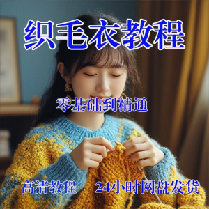 手工织毛衣教程 视频零基础 传统 棒针 钩针 毛线编织婴儿童全套-闲鱼虚拟仓