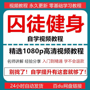 囚徒健身教程 自重 整套教案 专项训练教程 PDF电子版囚徒健身-闲鱼虚拟仓