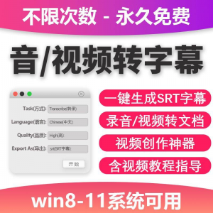 音频视频转字幕软件 srt字幕提取 制作多种语言选择 不限时长 win电脑使用-闲鱼虚拟仓