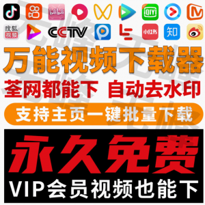 短视频批量下载 抖音 快手 B站 小红书 无水印西瓜下载软件 网页一键采集-闲鱼虚拟仓