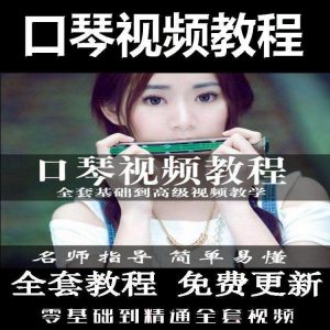 口琴自学教程 零基础初学者入门到专业十孔24孔教学-闲鱼虚拟仓