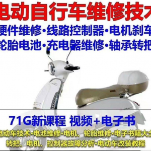 电动车维修 视频自学教程零基础学习常见故障保养技术案例讲解大全-闲鱼虚拟仓