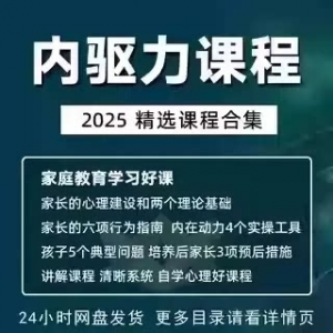 内驱力培训课程 培养孩子自觉性 提升内在 亲子教育学习电子版资料-闲鱼虚拟仓
