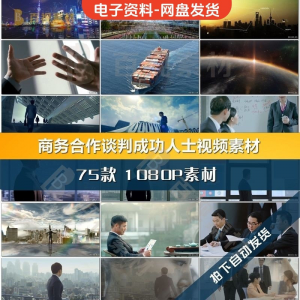 成功人士宣传视频素材 商务合作共赢洽谈企业团队公司开会成功人士签字握手宣传影片素材-闲鱼虚拟仓