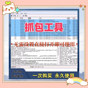 抓包工具 无需设置 直接打开即可使用可抓包 基于sunny网络中间件-闲鱼虚拟仓