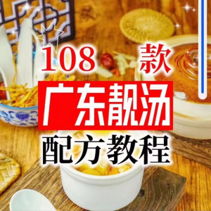108种广东靓汤 教程 100+广府靓汤商用技术实体店-闲鱼虚拟仓