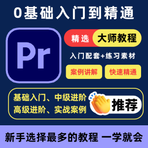 PR教程 零基础入门学习 premiere pro 教学视频剪辑软件课程练习素材-闲鱼虚拟仓