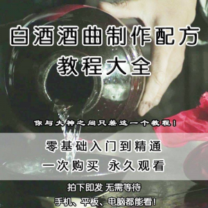 白酒酒曲制作配方 教程 酿酒技术 秘方 勾兑 视频 教学课程 零基础学习-闲鱼虚拟仓