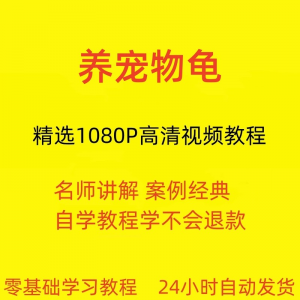 养宠物龟饲养教程  从入门到精通技巧培训学习 在线课程-闲鱼虚拟仓