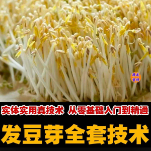 自学发豆芽技术 资料 豆芽加工 制作方法 教学 培育豆芽商用视频教程-闲鱼虚拟仓