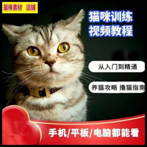 猫咪训练+养猫攻略大全技巧秘诀自学教程课程视频-闲鱼虚拟仓