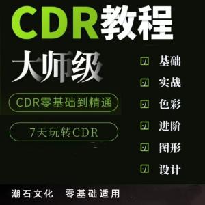 cdr教程视频 Coreldraw 自学平面设计 广告排版 零基础入门学习课程-闲鱼虚拟仓