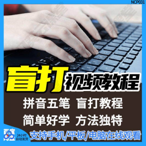 盲打教程 不看键盘打字视频教学网课指法纠正零基础普通键盘私教版资料-闲鱼虚拟仓