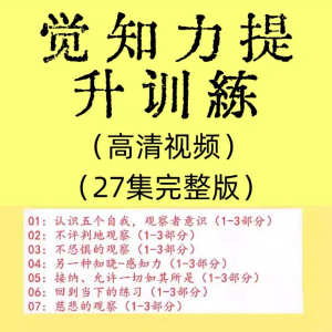 觉知力训练 感知力 国学智慧 心理学 自我意识 内心疗愈 视频教程-闲鱼虚拟仓