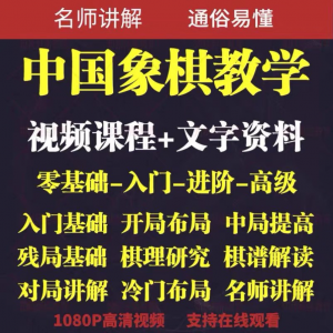 中国象棋教学 视频教程 布局 开局 零基础初学者棋理-闲鱼虚拟仓