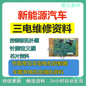 新能源汽车维修资料 拓扑原理 针脚图 芯片 三电控制器 充电机 压缩机-闲鱼虚拟仓