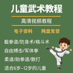 少儿童武术教程 零基础 自学 咏春 散打 擒拿 泰拳 跆拳道 防身术课程-闲鱼虚拟仓