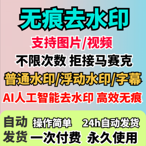 视频去水印软件 无痕消除文字 AI去除图片字幕 水印处理 手机电脑神器-闲鱼虚拟仓
