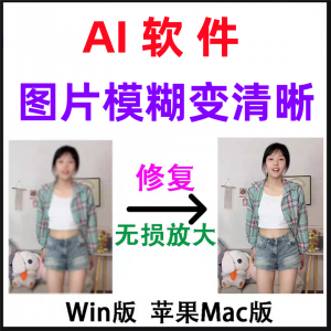Aiarty Image Enhancer 模糊变清晰 无失真 放大AI图片 修覆软体 高清4k 相片8k 图像增强 智能降-闲鱼虚拟仓