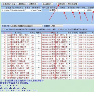批量文件名提取软件 文件名批量编号 文件名批量修改-闲鱼虚拟仓