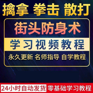 街头防身术 擒拿 拳击 散打 视频教程 入门自学零基础学习教程视频-闲鱼虚拟仓