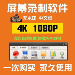 录屏录制软件 电脑高清1080P 屏幕视频声音录像工具 4K无水印mp4格式-闲鱼虚拟仓