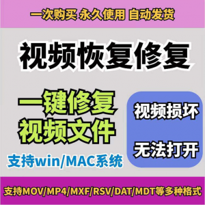 损坏MP4视频修复软件 断电恢复工具 短片导出 摄像机视频文件修复-闲鱼虚拟仓