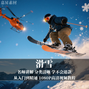 单板双板滑雪教程 视频教学 成人 全套 入门 自学 零基础学习视频教程-闲鱼虚拟仓