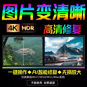 智能AI:图片相片模糊变清晰 高清修复 无损放大 黑白上色 彩色软件-闲鱼虚拟仓