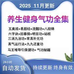 健身气功 八段锦视频教程 五禽戏 六字诀 易筋经 养生功法 教学 站桩-闲鱼虚拟仓