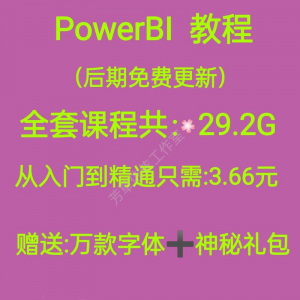 Power bi教程 商业数据分析 可视化图表 建模 视频 零基础 powerbi课程-闲鱼虚拟仓