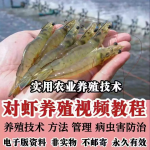 对虾养殖技术教程 视频教学 水质管理 日常养护 疾病防治-闲鱼虚拟仓