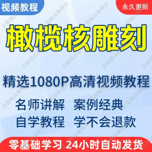 橄榄核雕刻教程 新手自学 零基础入门精通教学课程全集-闲鱼虚拟仓