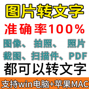 转文字 图像图片照片拍照扫描件格式转文字 采集转换word 转成ppt 提取excel-闲鱼虚拟仓