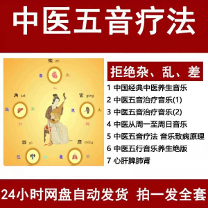 中医音乐疗法 五行五音频 视频 养生馆 全套 宫商角徵 疗愈解压音药 mp3-闲鱼虚拟仓