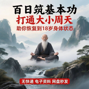 百日筑基功 打通大小周天 电子版视频课程 动功通 脉秘传 心法打坐 讲解-闲鱼虚拟仓