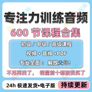 儿童专注力训练教程 听觉注意力训练 分阶 全套音频视频 课程 早教 电子版-闲鱼虚拟仓