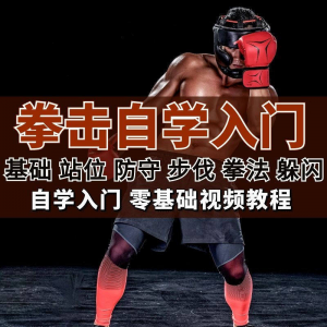 拳击教程 全套拳击指导 视频教程 自学零基础小白入门 自卫 搏击 格斗 防护资料-闲鱼虚拟仓