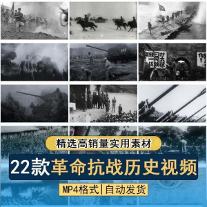 抗日战争解放战争革命斗争长征精神历史纪录片影像资料视频素材-闲鱼虚拟仓